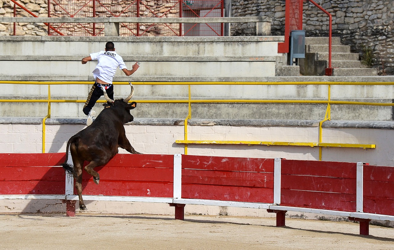 练充分利用